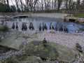 IMG-20250225-WA0046