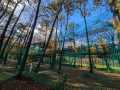 IMG-20250225-WA0053