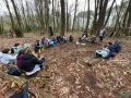 IMG-20250226-WA0026