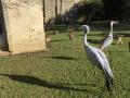 IMG-20250227-WA0037