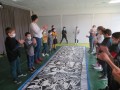 IMG_1443
